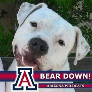 Meet your Posher, Suzy